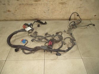 Проводка моторная Peugeot Expert G9