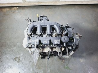 Двигатель Ford C-MAX 1